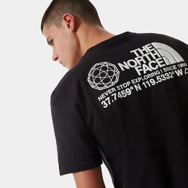 Лонгслив мужской the North face coordinates