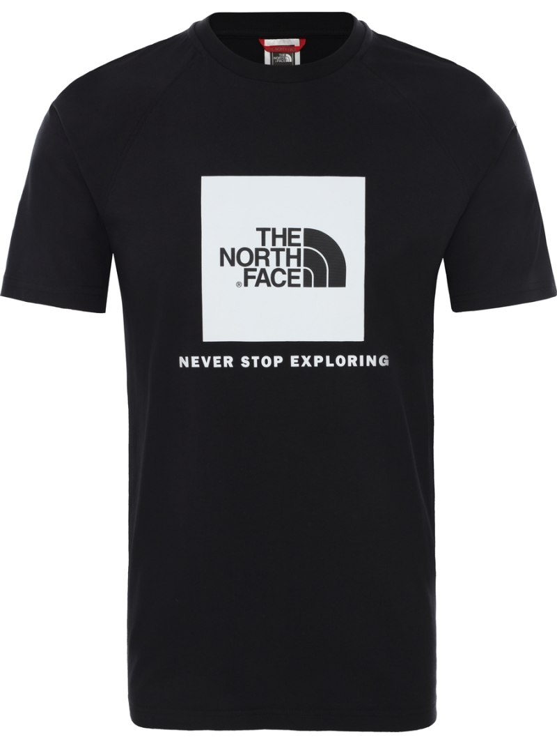 Футболка the North face мужская