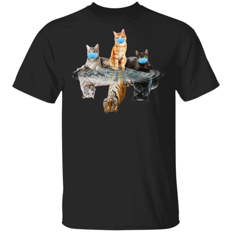 Cats photos for t Shirt