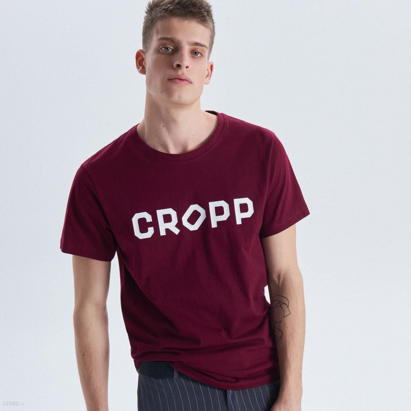 Футболка Spicy Cropp