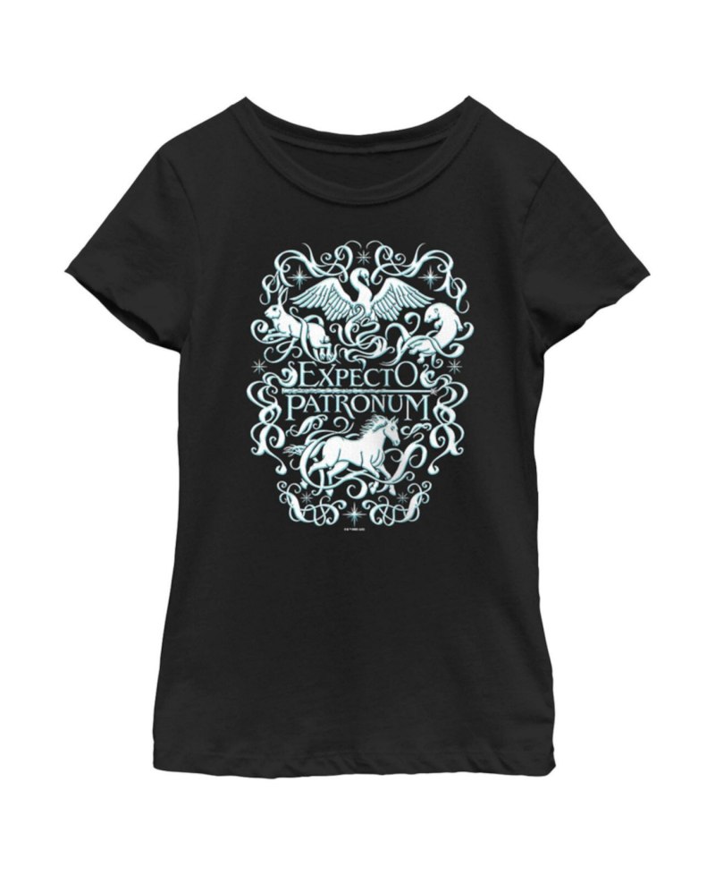 Harry Potter Expecto Patronum PNG
