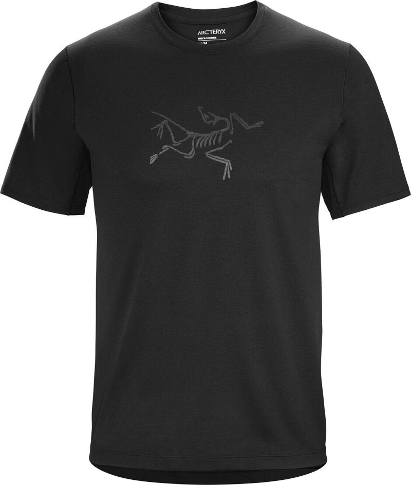 Arcteryx футболки мужские