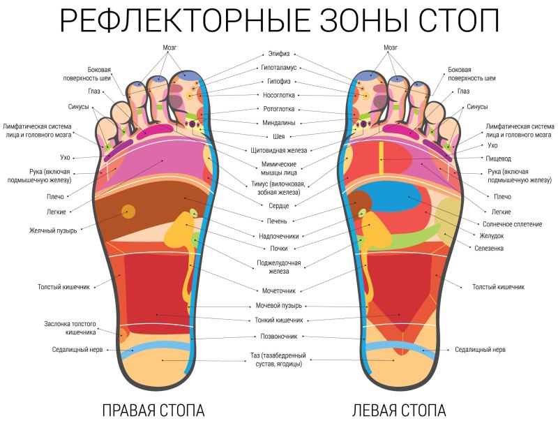 Рефлекторные точки на стопе