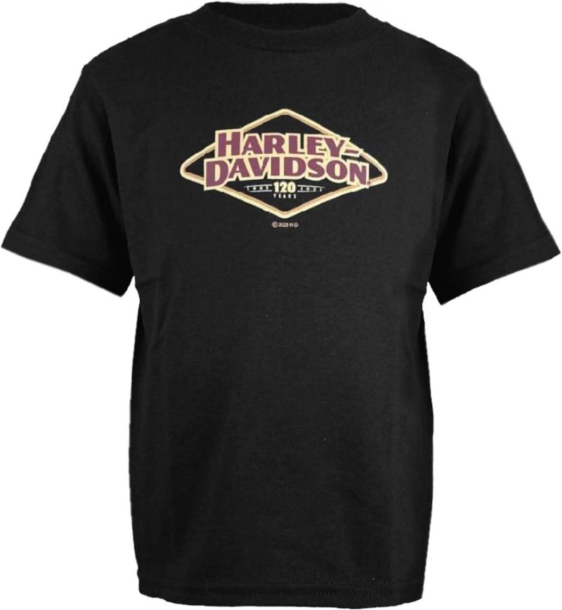 Харли Дэвидсон футболки