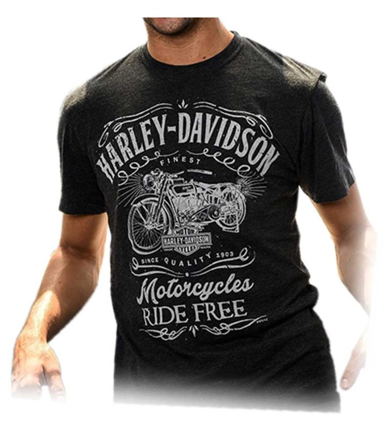 Футболка Харлей Дэвидсон