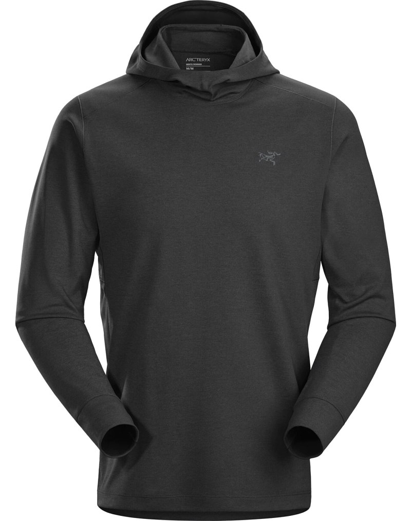 Лонгслив мужской Arcteryx ar Hoody Black Heather