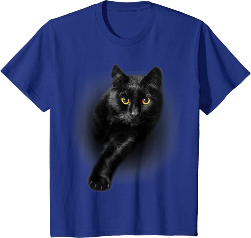 Grey Cat in a Shirt
