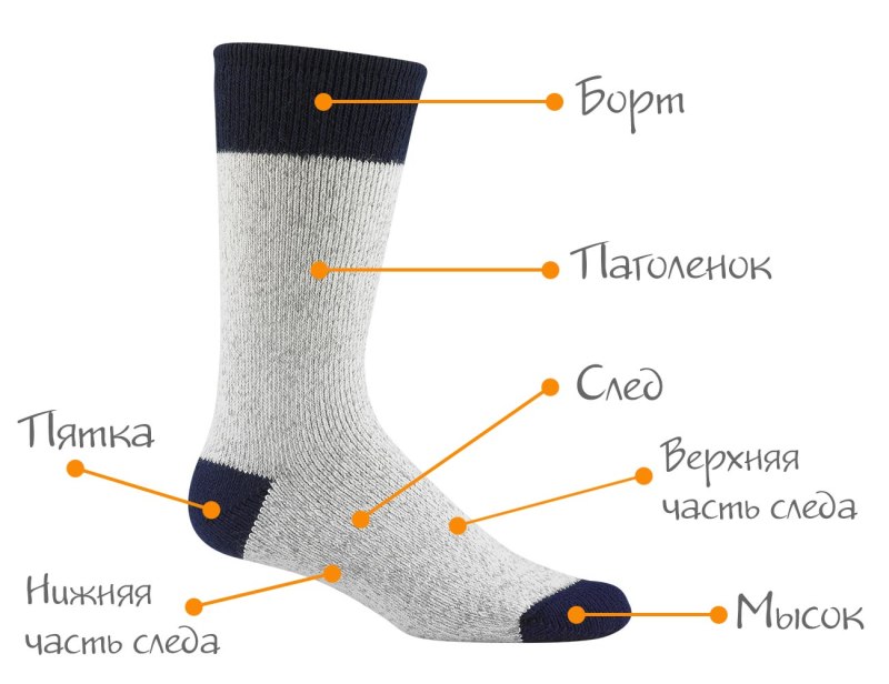 Составные части носка