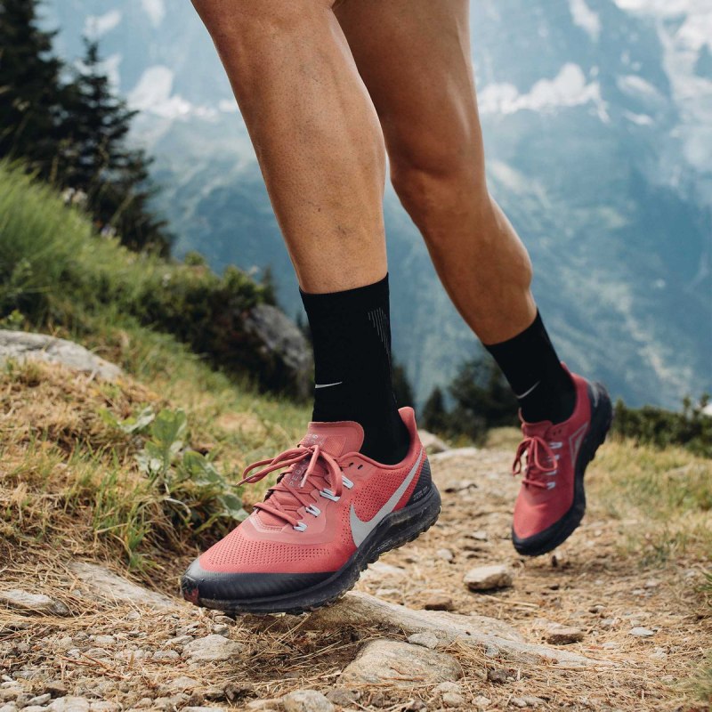 Nike Pegasus 38 Trail