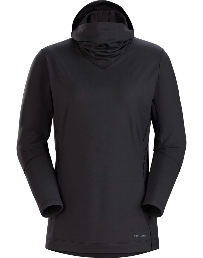 Palace Arcteryx худи цена