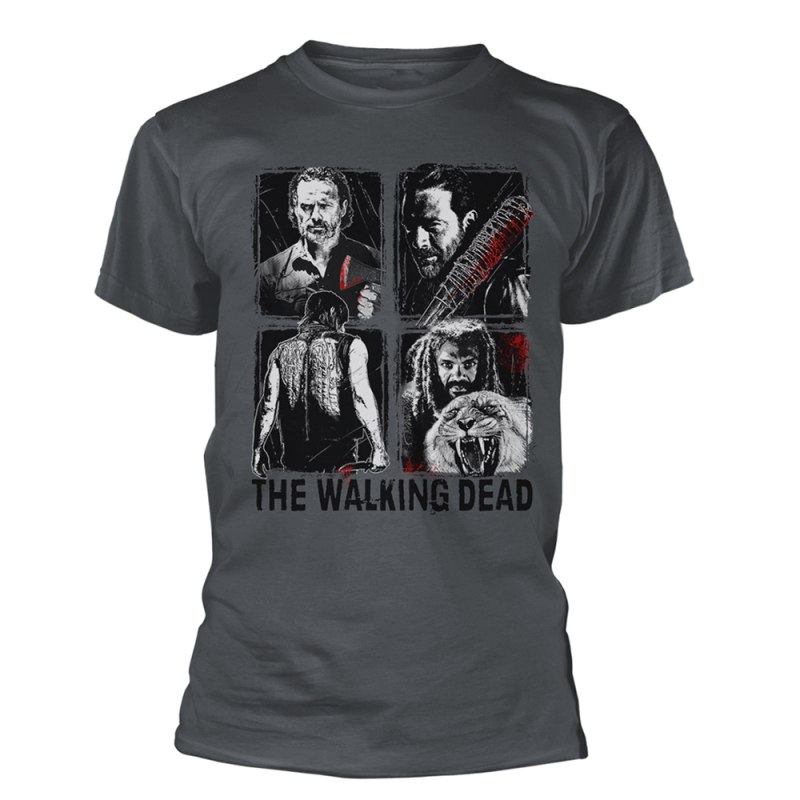 Футболка the Walking Dead Daryl