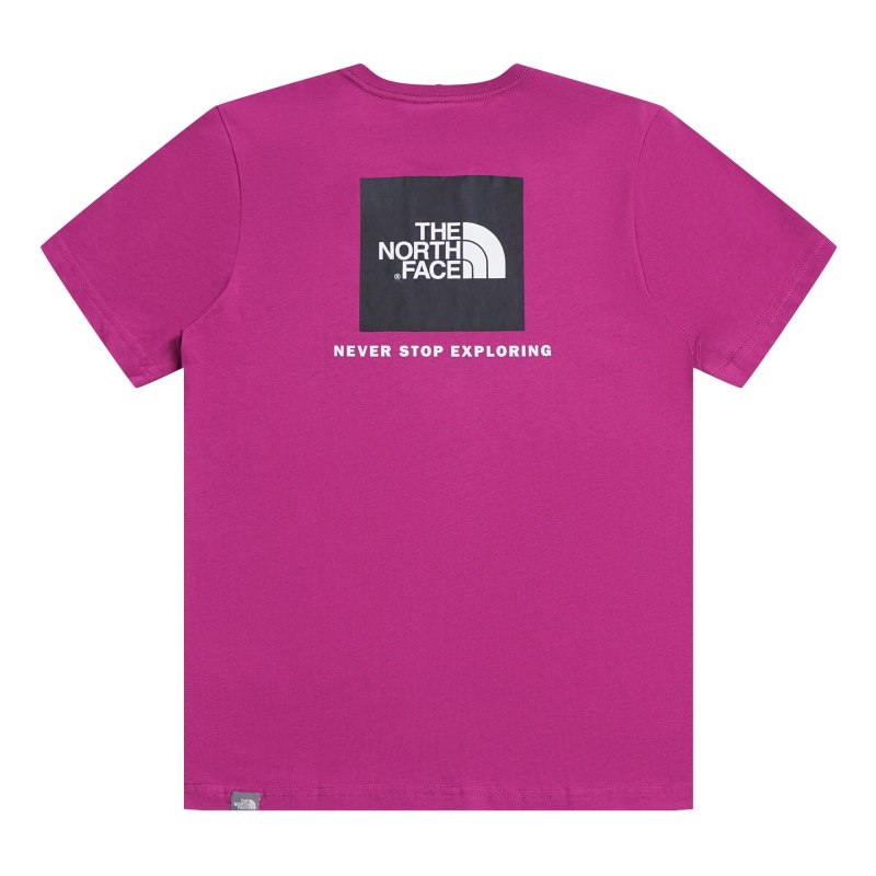 Майка the North face мужская