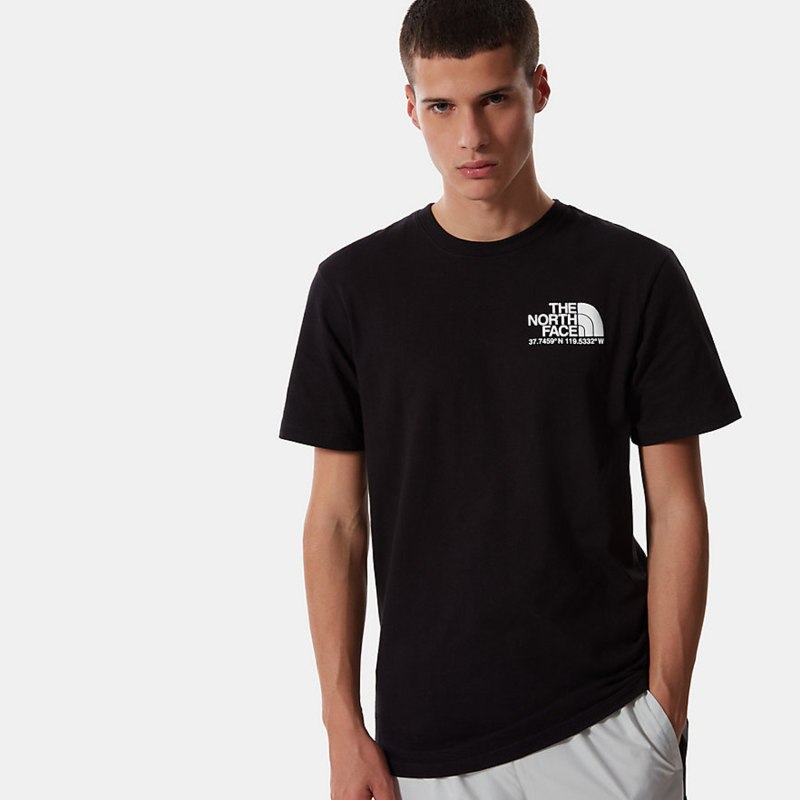 Футболка the North face