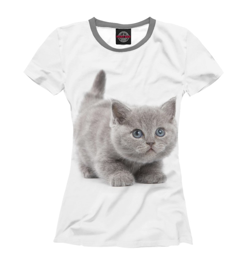 Котики с одеждой