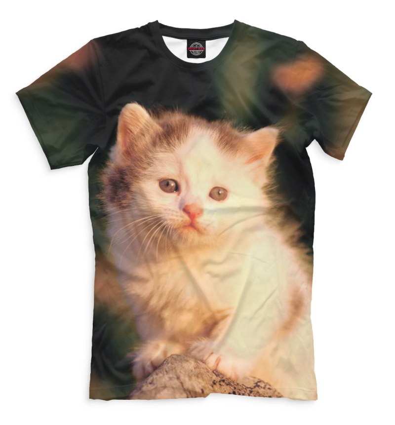 Футболка кот