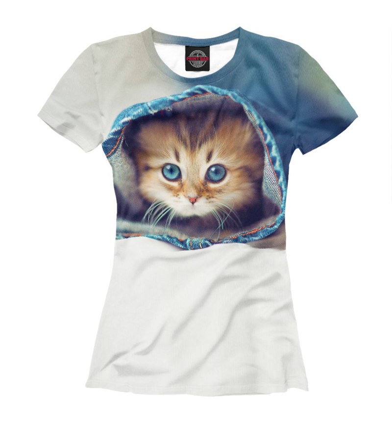 Котики с одеждой